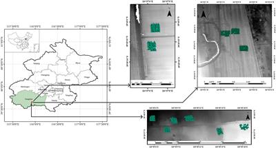 Forest emissions reduction assessment from airborne LiDAR data using multiple machine learning approaches